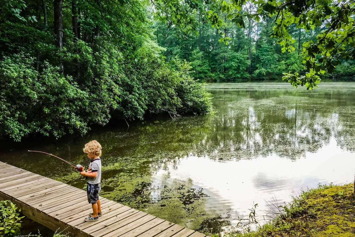 A child stands by calm water, fishing amidst tranquil greenery. The setting evokes a peaceful, nature-filled escape—an invitation to enjoy quiet moments and simple pleasures in the outdoors with friends or family.
